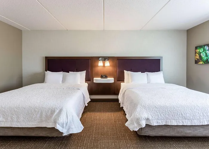 Hampton & Chicago - Hotel 3*