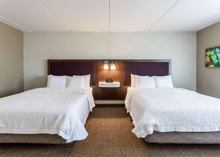 Hotel Hampton & Chicago -